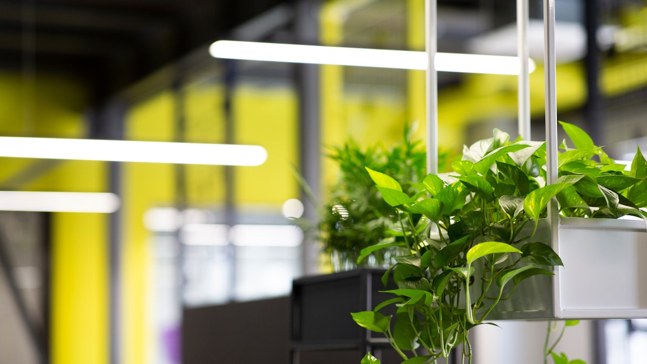 JK Building Wellness and Jani-King are one of the few New Zealand companies with Well AP Certifications